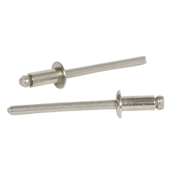 vendita online Rivetto in acciaio inox con chiodo in acciaio inox Rivetti Sacto